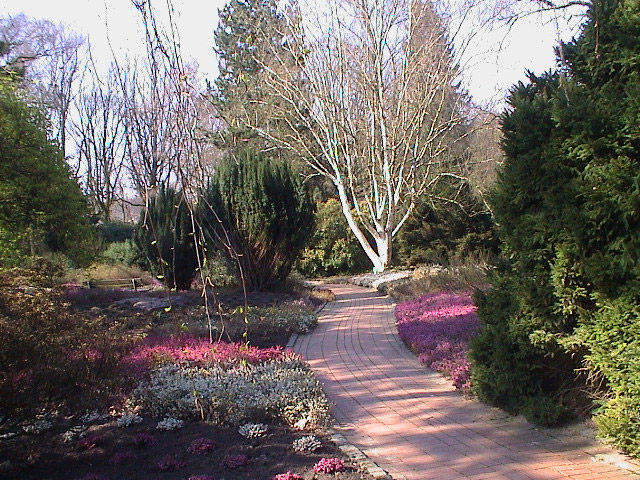 Der größte Themengarten unseres Gartens