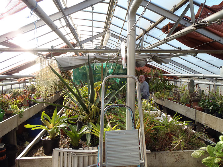 Das Mutterpflanzenhaus