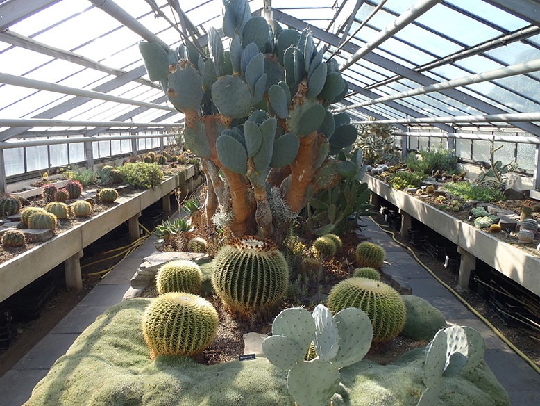 Das Sukkulentenhaus