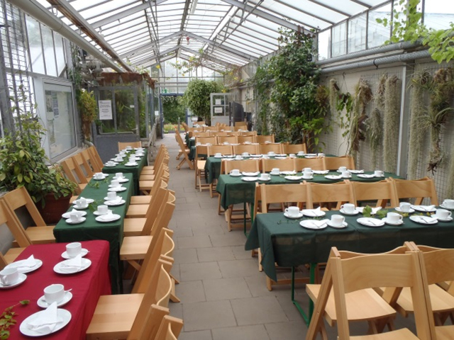 Feier im Gewächshaus